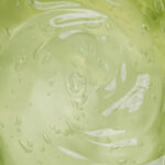 Cape Aloe Leaf