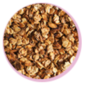 Pantothenic Acid