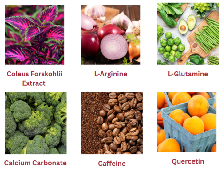XenBurn Ingredients